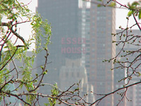 Apr. 24 2001  4:00:32 PM